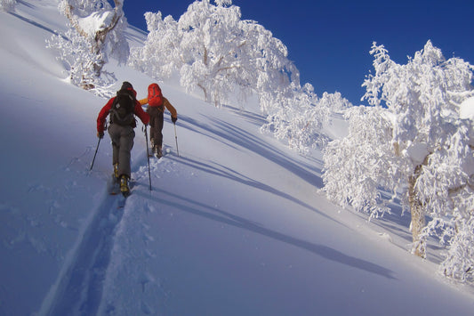 BACKCOUNTRY SKIING JAPAN