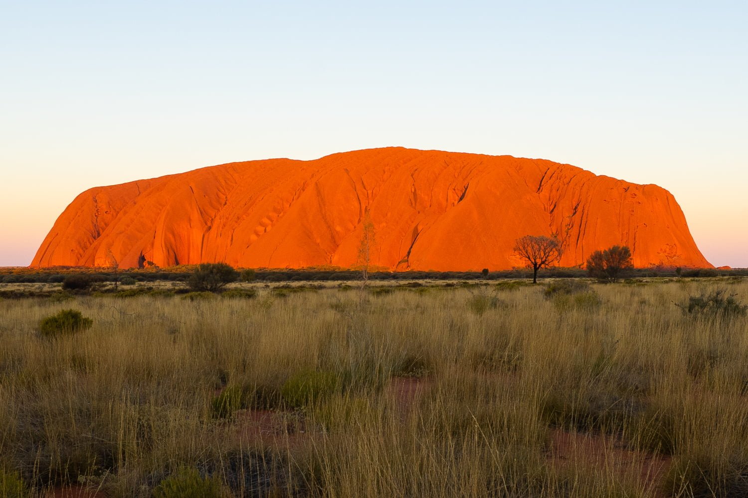 ULURU